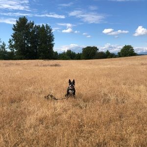 Meet your Posher, Kadi